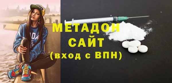 шишки Бикин