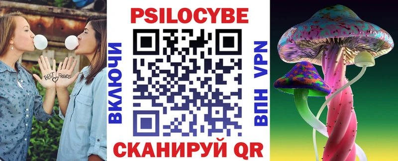 где можно купить наркотик  Чкаловск  Псилоцибиновые грибы MAGIC MUSHROOMS 